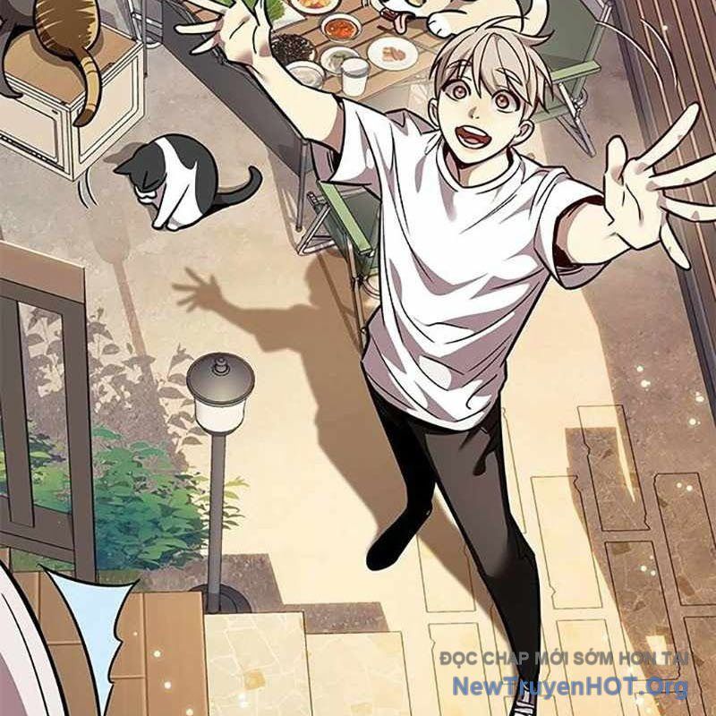 Hoá Thân Thành Mèo: Chapter 366