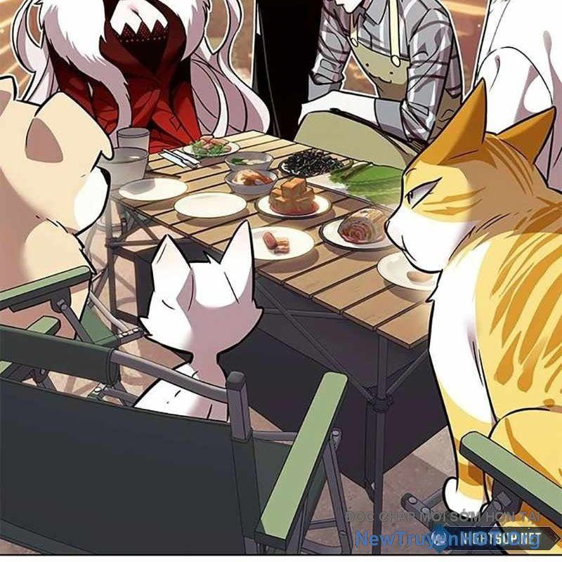 Hoá Thân Thành Mèo: Chapter 366