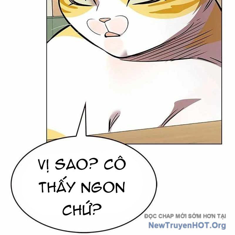 Hoá Thân Thành Mèo: Chapter 366