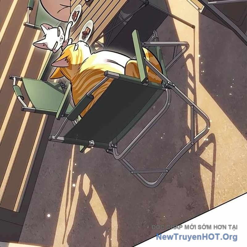 Hoá Thân Thành Mèo: Chapter 366