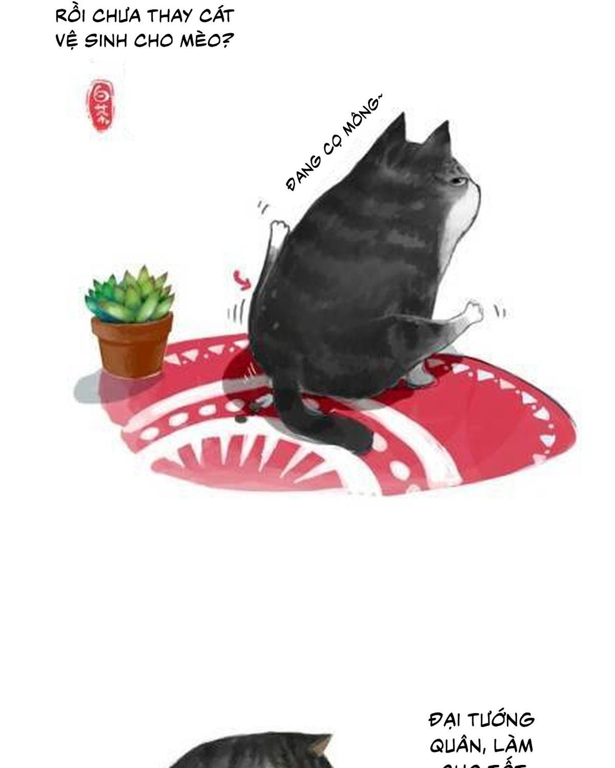 Hoàng Thượng và Ba Trát Hắc: Chapter 1