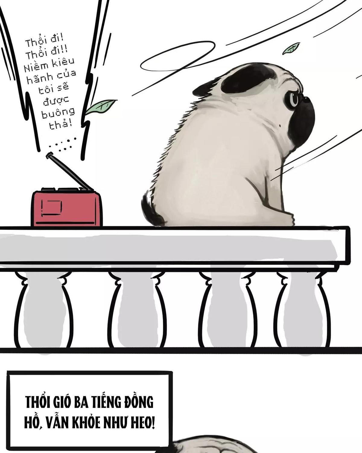 Hoàng Thượng và Ba Trát Hắc: Chapter 100