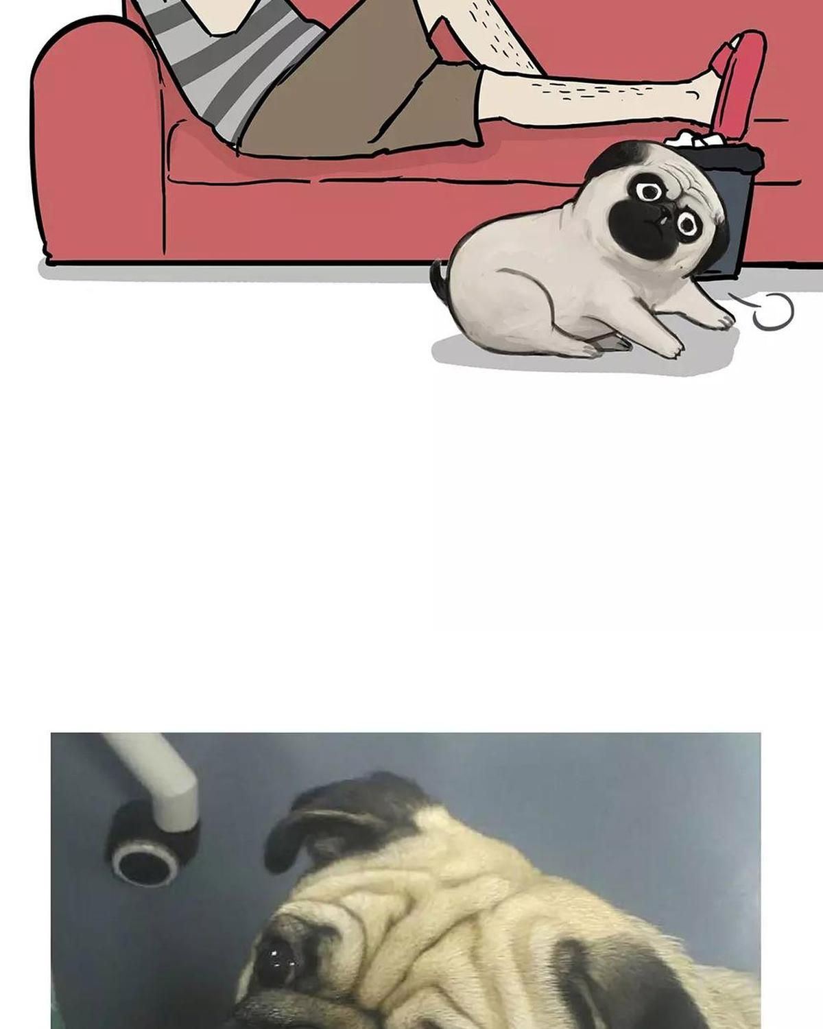 Hoàng Thượng và Ba Trát Hắc: Chapter 101