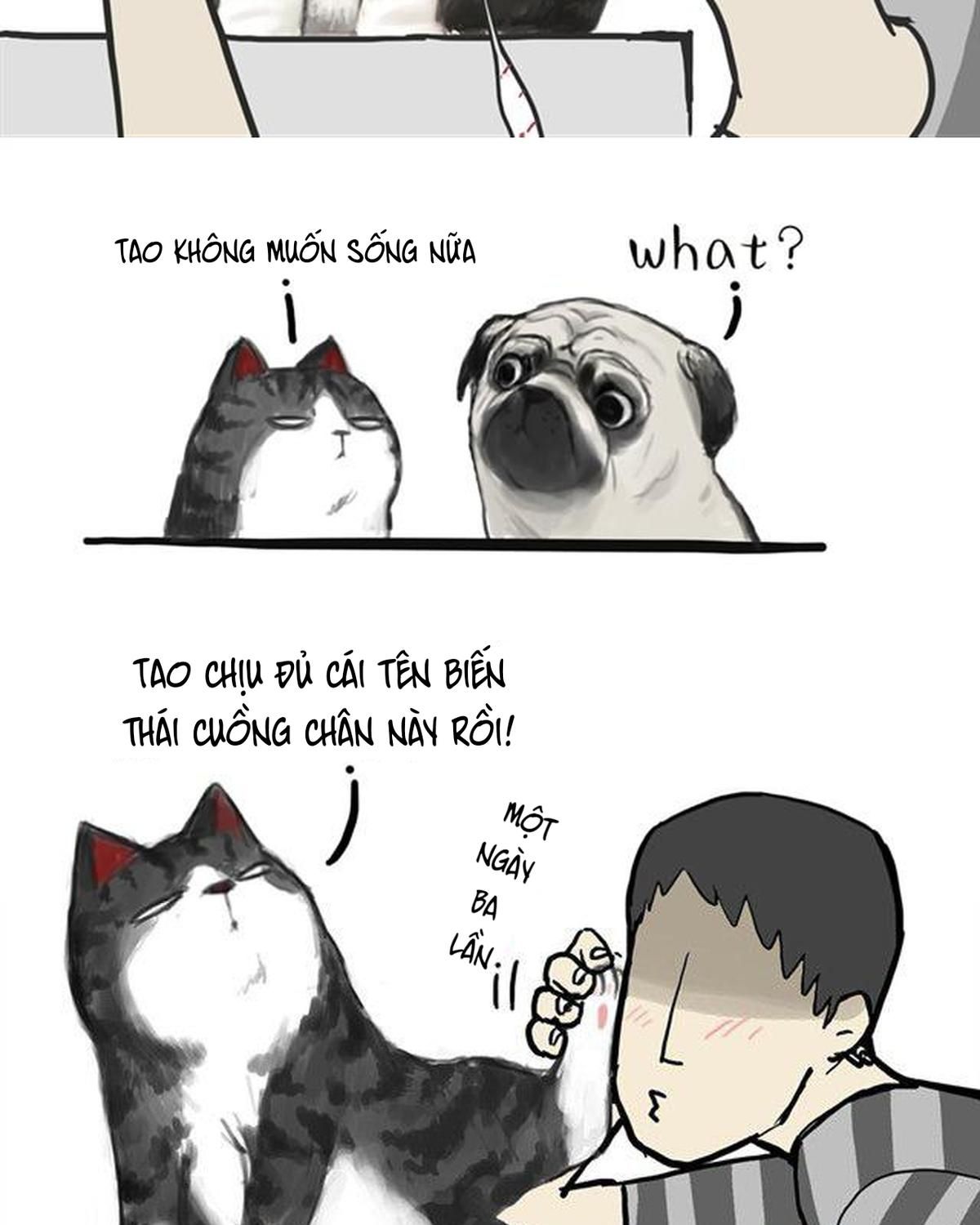 Hoàng Thượng và Ba Trát Hắc: Chapter 13