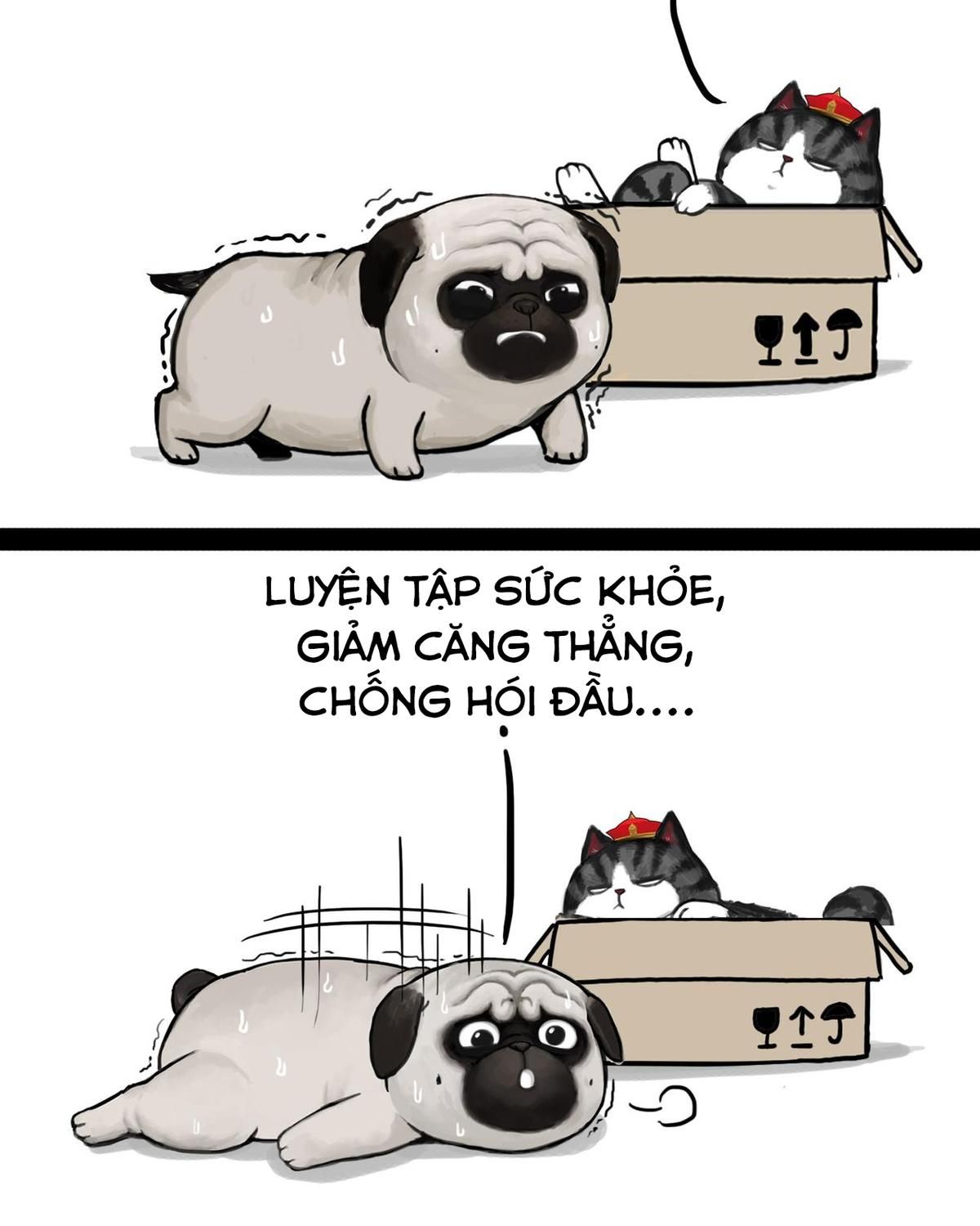 Hoàng Thượng và Ba Trát Hắc: Chapter 138