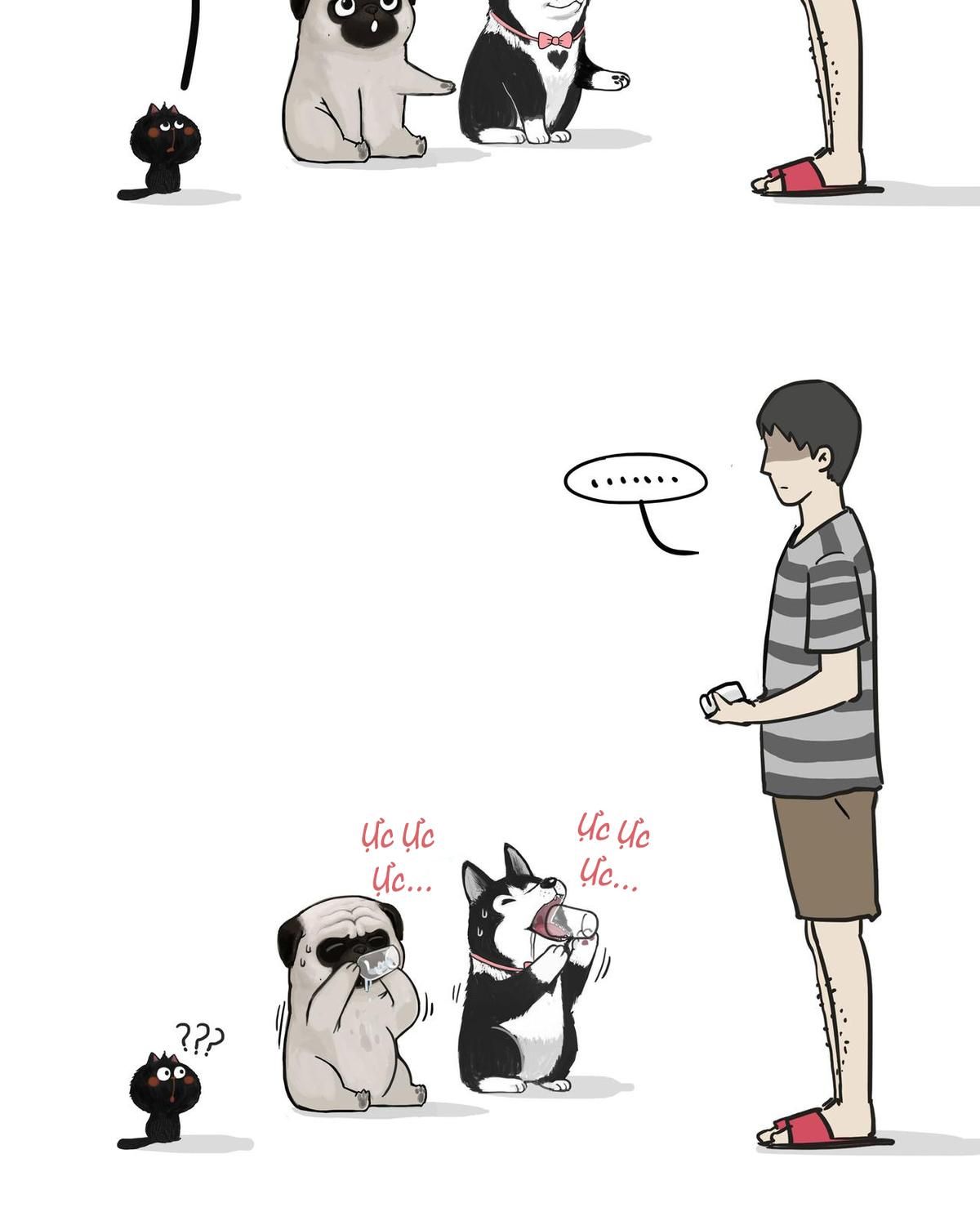 Hoàng Thượng và Ba Trát Hắc: Chapter 139