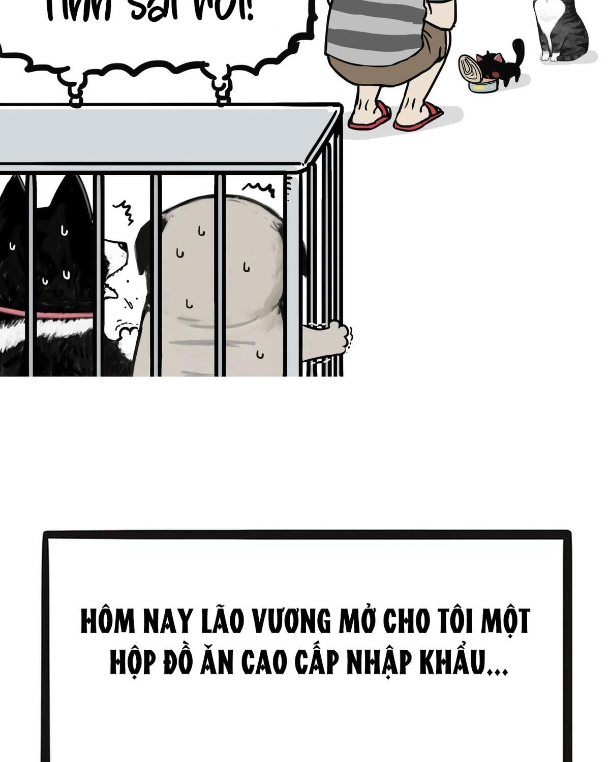 Hoàng Thượng và Ba Trát Hắc: Chapter 139