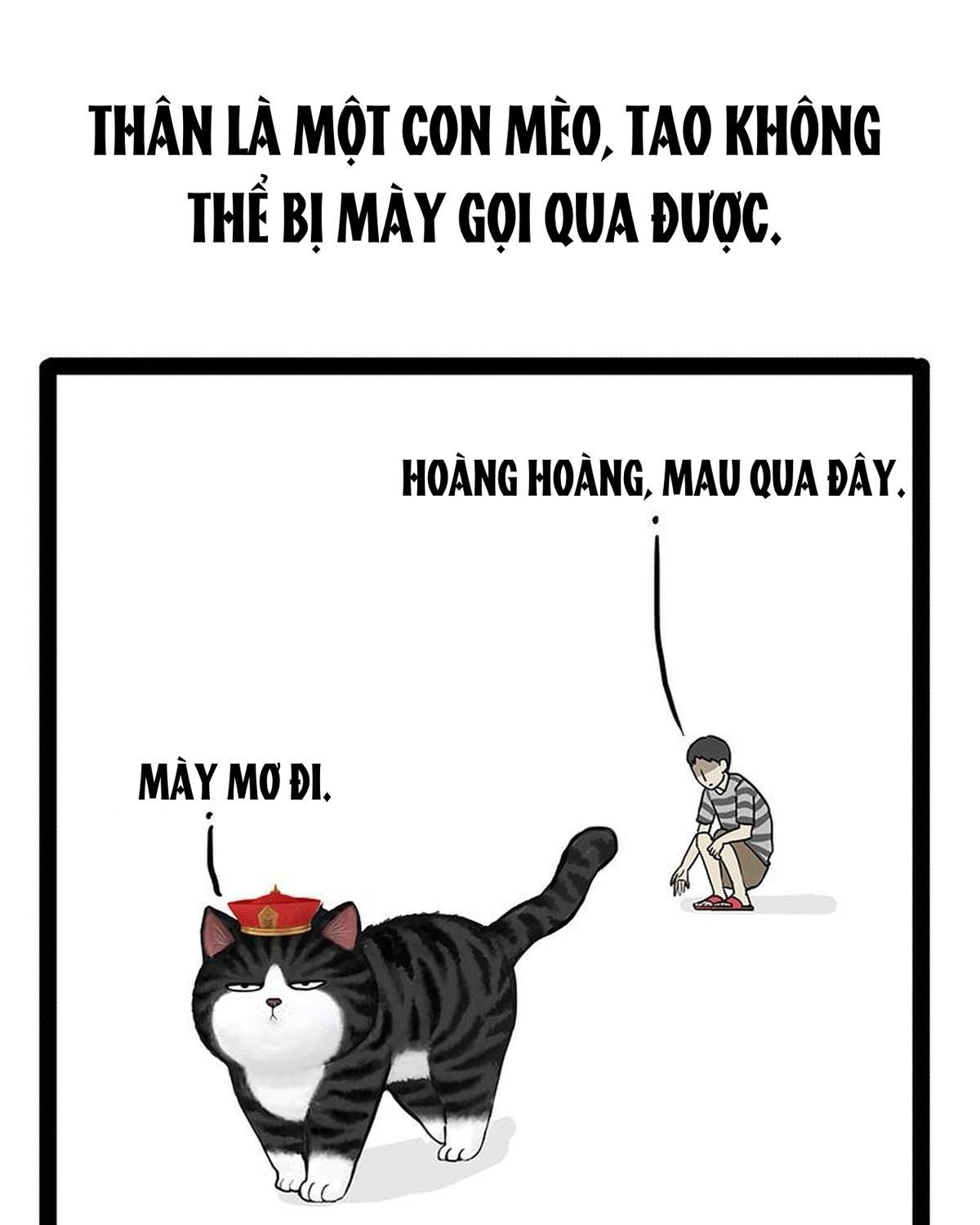 Hoàng Thượng và Ba Trát Hắc: Chapter 141