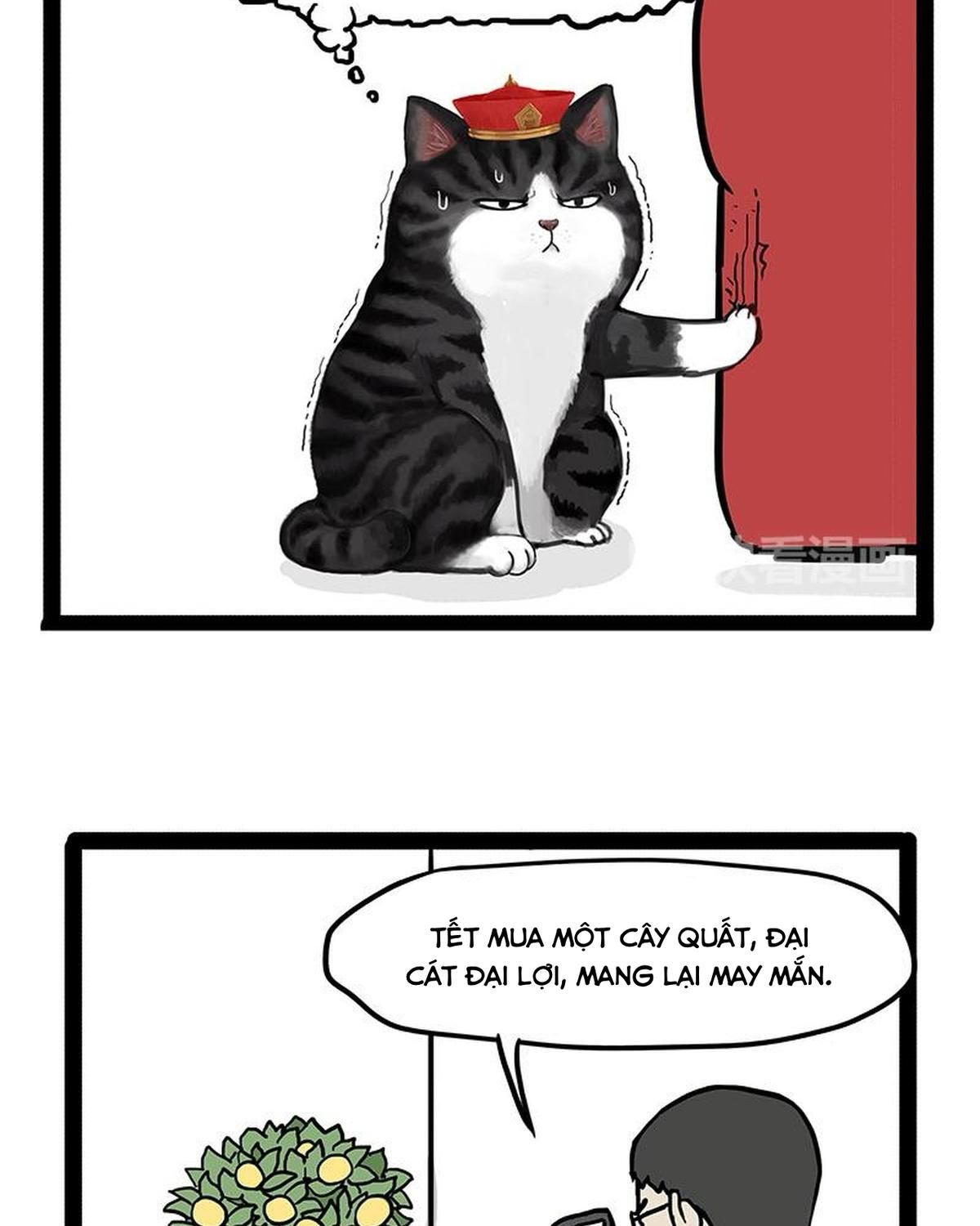 Hoàng Thượng và Ba Trát Hắc: Chapter 141