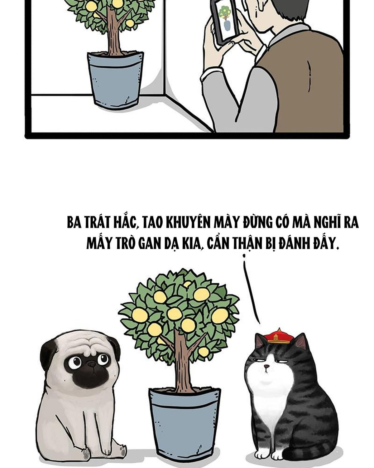 Hoàng Thượng và Ba Trát Hắc: Chapter 141