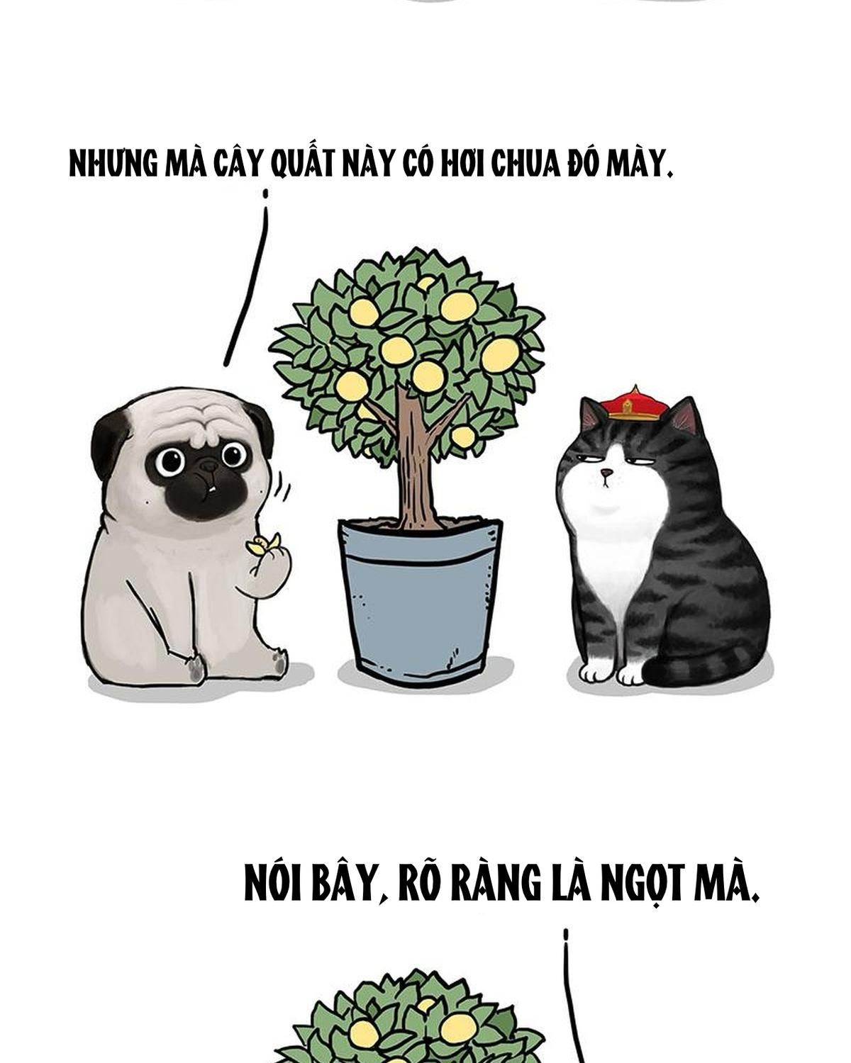 Hoàng Thượng và Ba Trát Hắc: Chapter 141