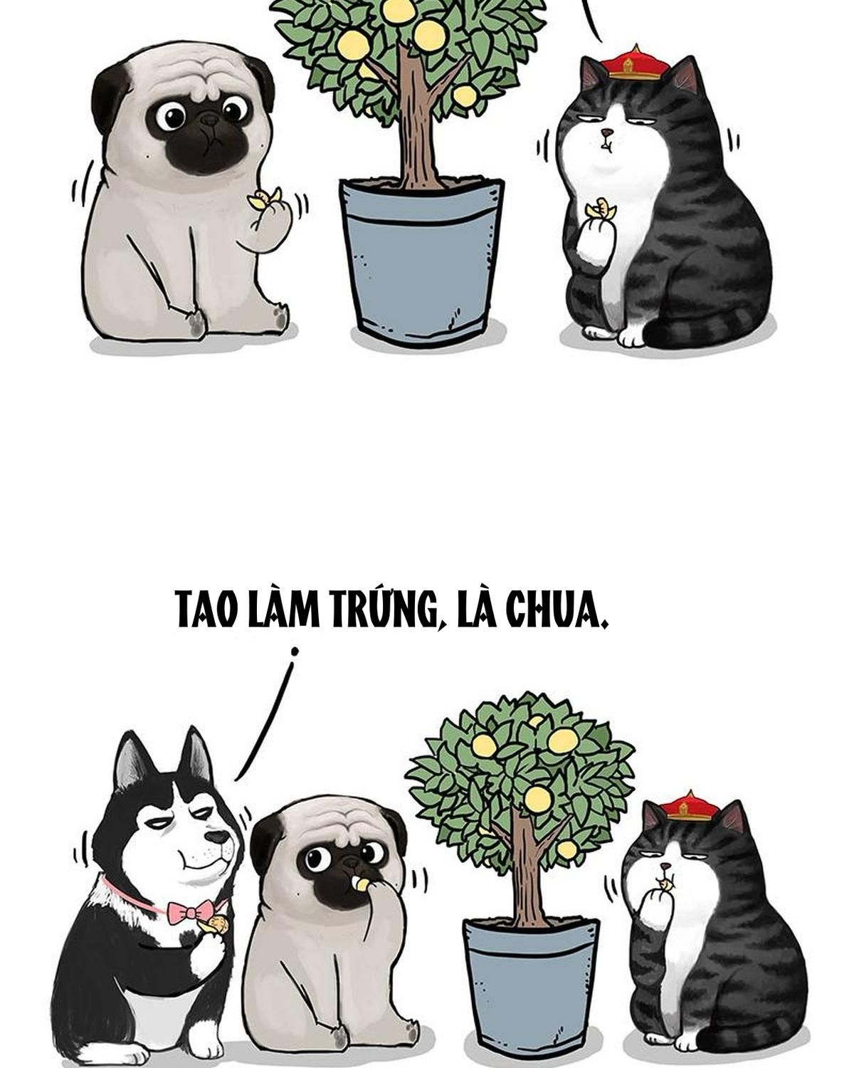 Hoàng Thượng và Ba Trát Hắc: Chapter 141