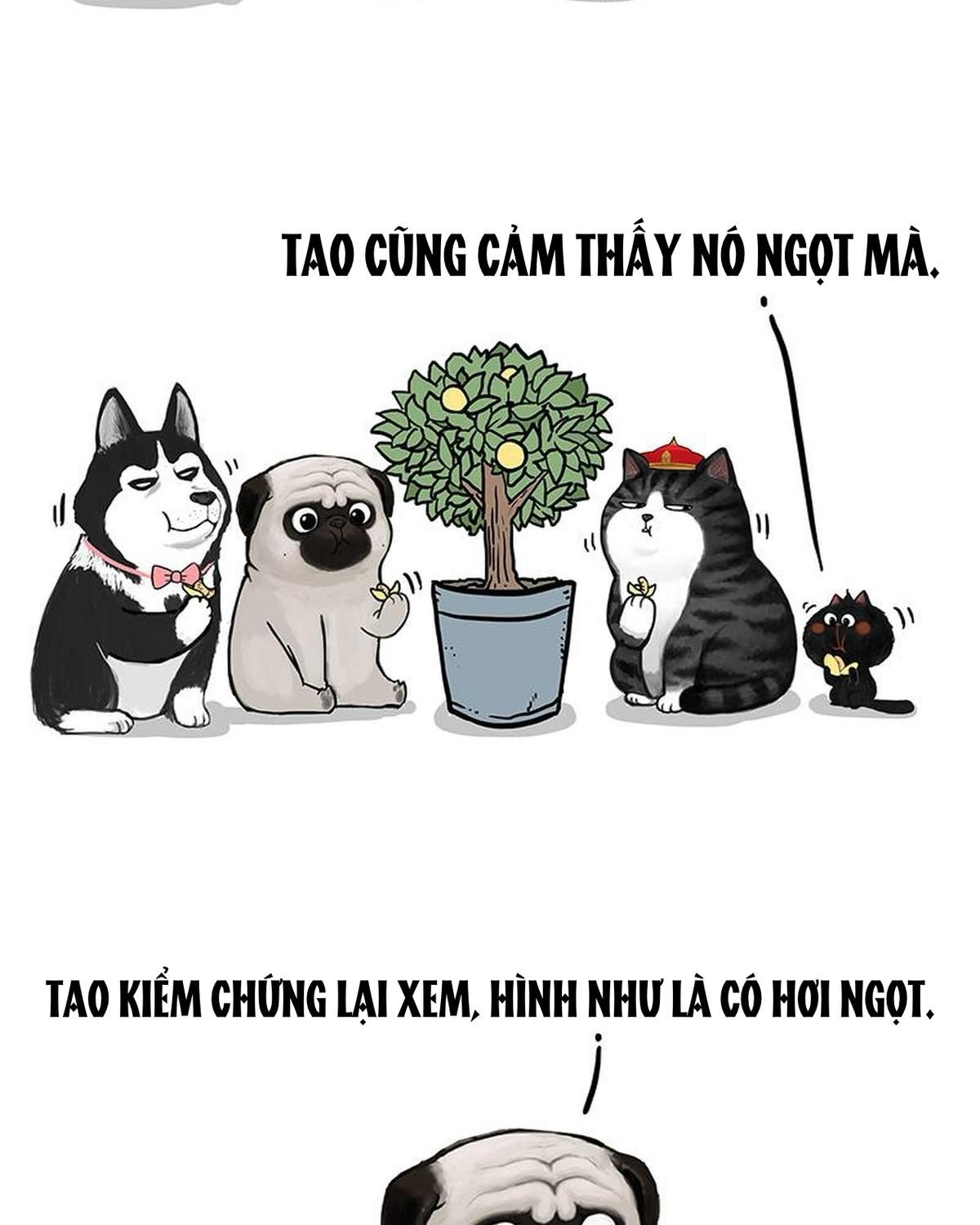 Hoàng Thượng và Ba Trát Hắc: Chapter 141