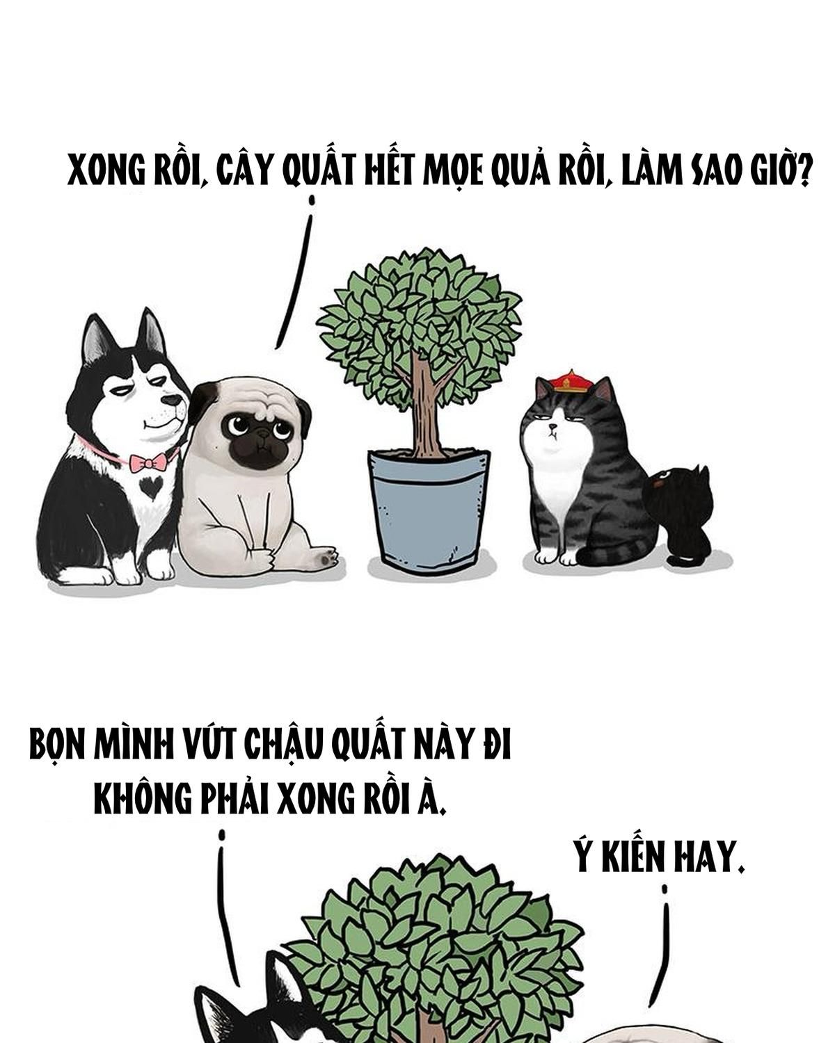 Hoàng Thượng và Ba Trát Hắc: Chapter 141