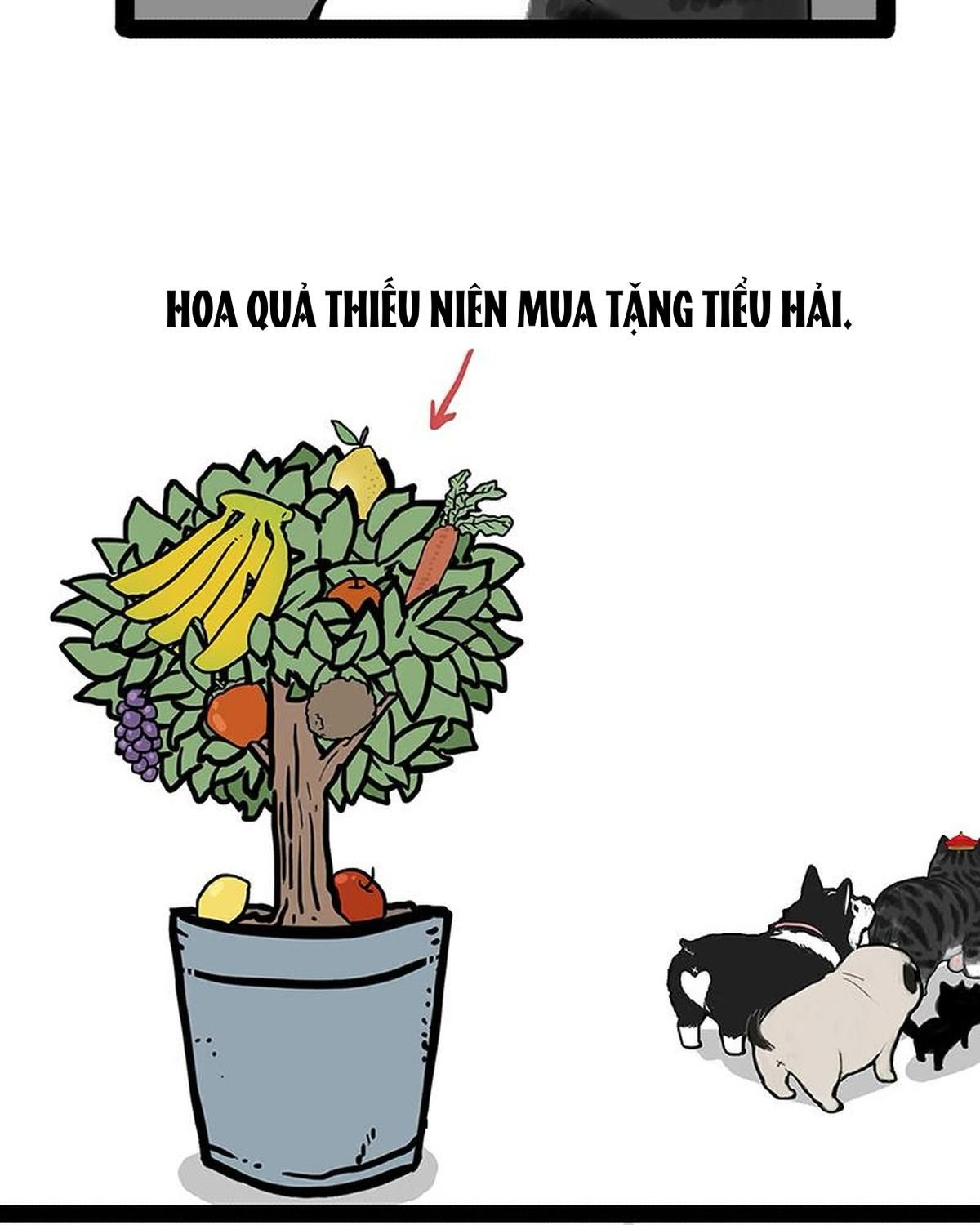 Hoàng Thượng và Ba Trát Hắc: Chapter 141