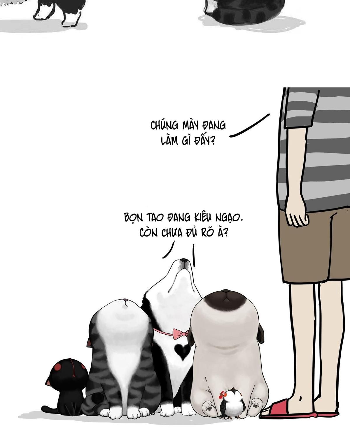 Hoàng Thượng và Ba Trát Hắc: Chapter 149