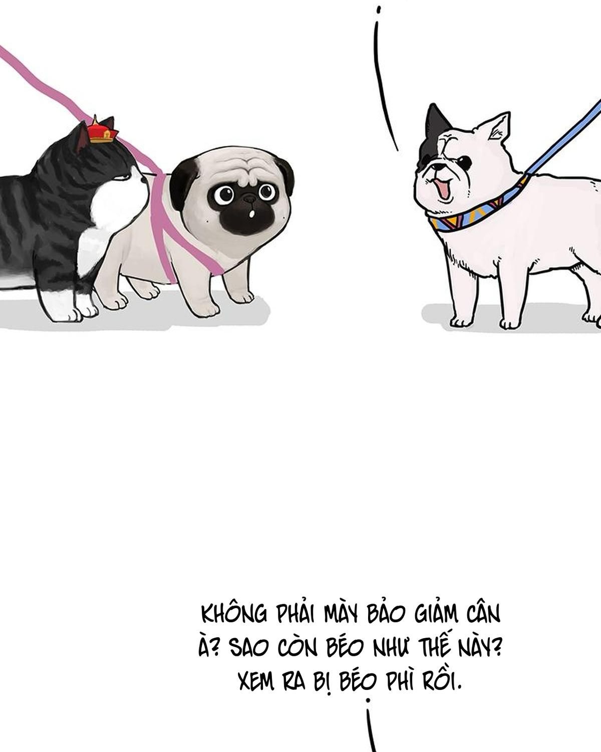 Hoàng Thượng và Ba Trát Hắc: Chapter 149