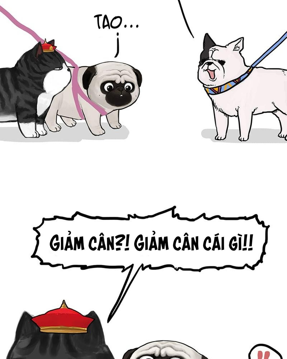 Hoàng Thượng và Ba Trát Hắc: Chapter 149