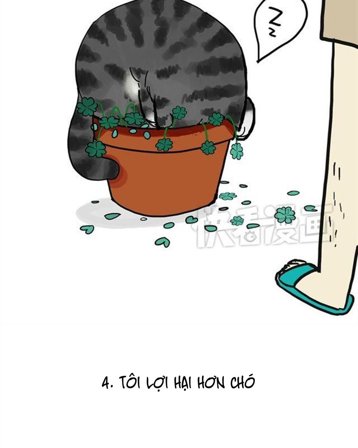 Hoàng Thượng và Ba Trát Hắc: Chapter 15