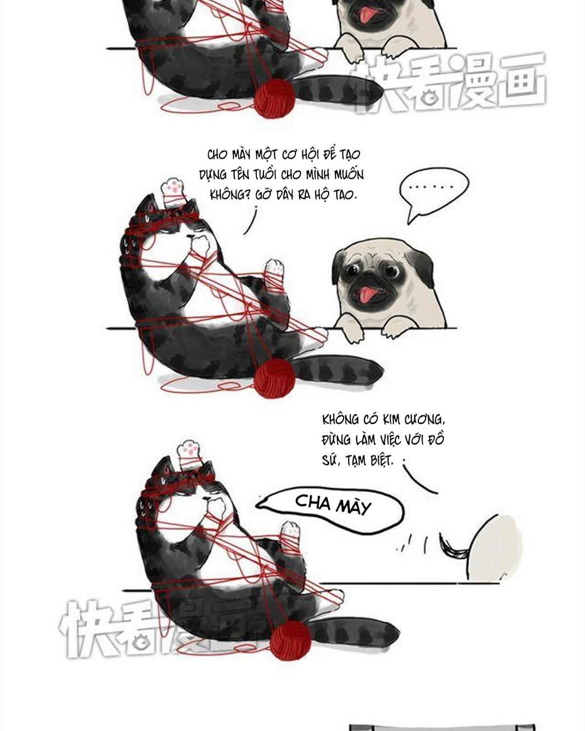 Hoàng Thượng và Ba Trát Hắc: Chapter 15