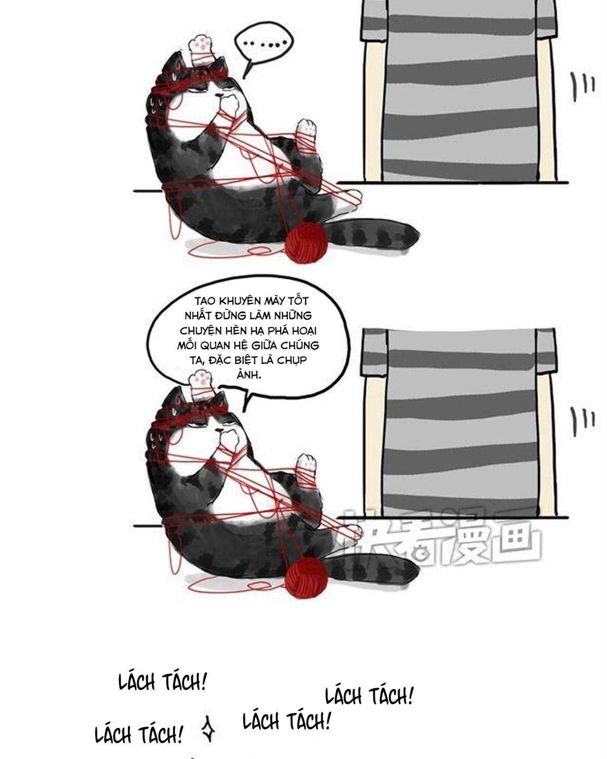 Hoàng Thượng và Ba Trát Hắc: Chapter 15