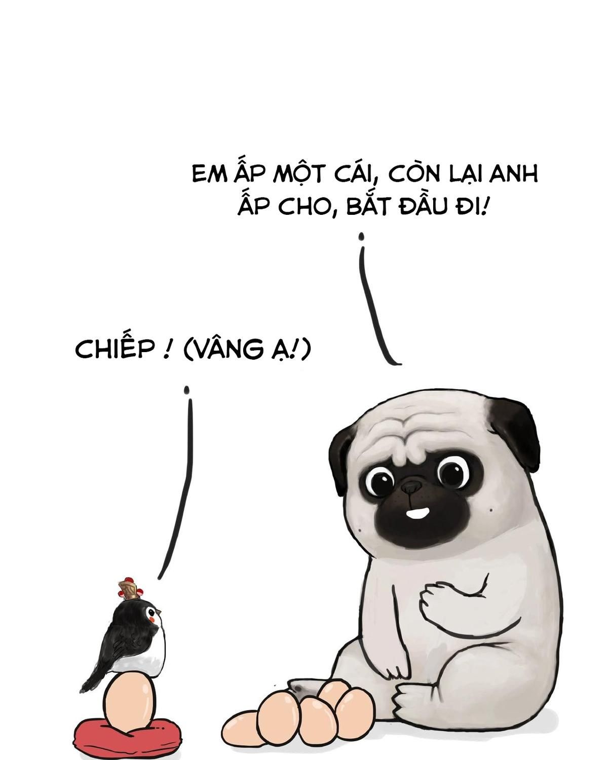 Hoàng Thượng và Ba Trát Hắc: Chapter 157