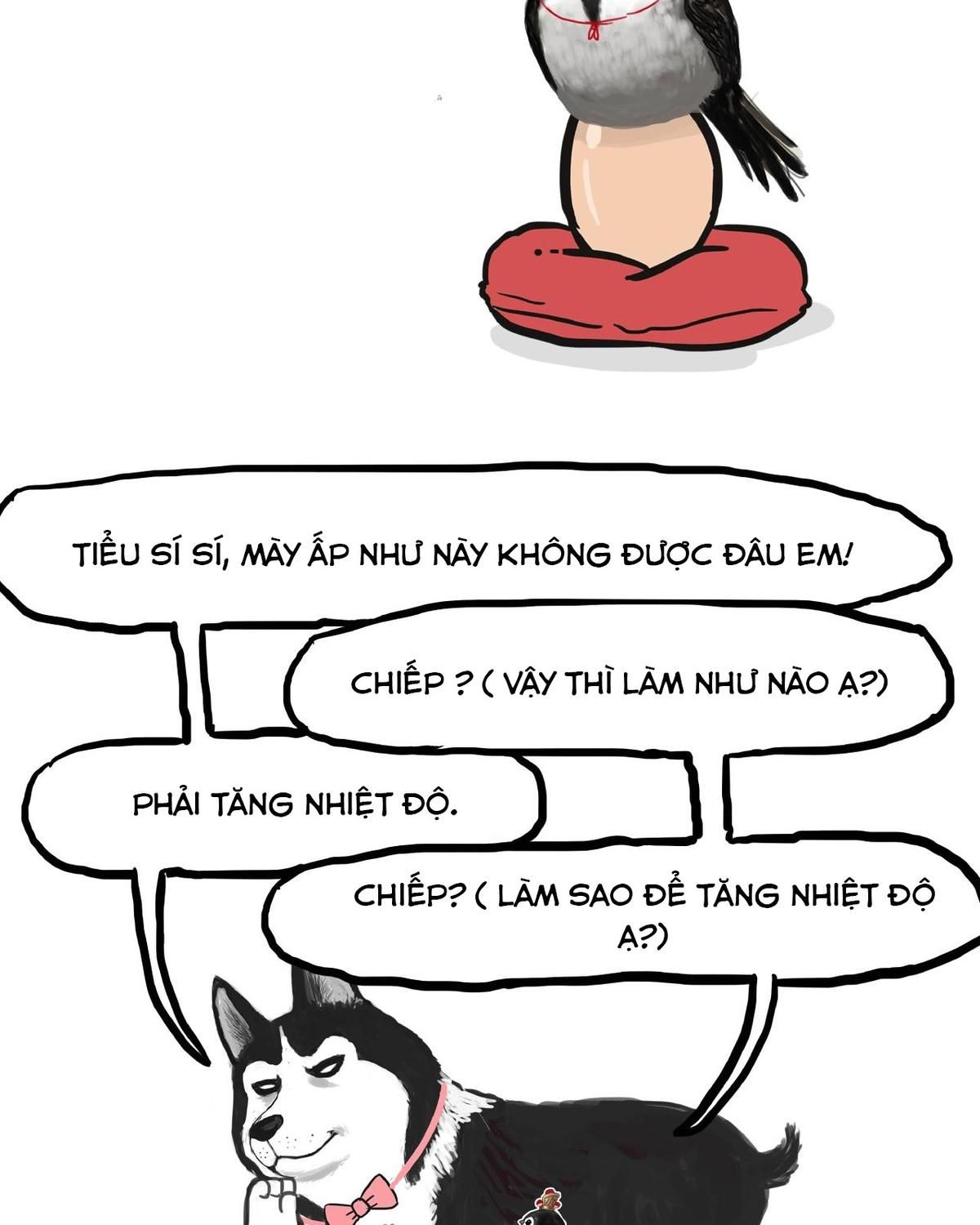 Hoàng Thượng và Ba Trát Hắc: Chapter 157