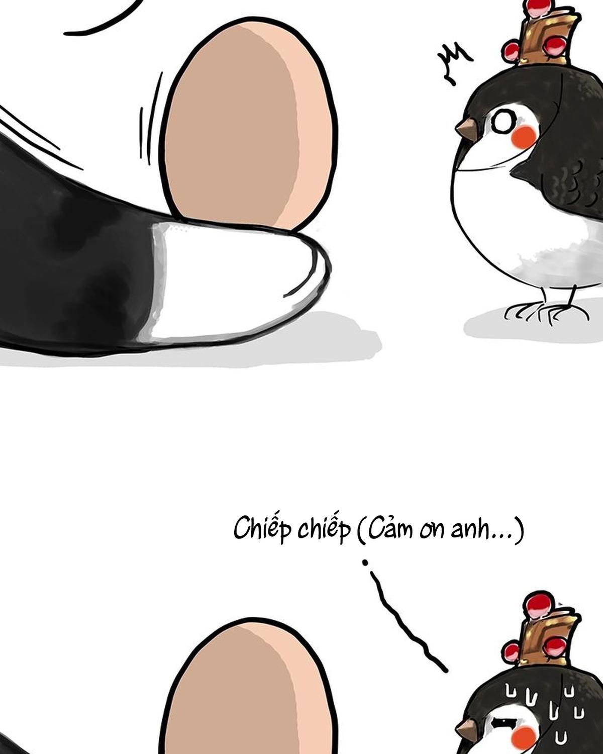 Hoàng Thượng và Ba Trát Hắc: Chapter 157