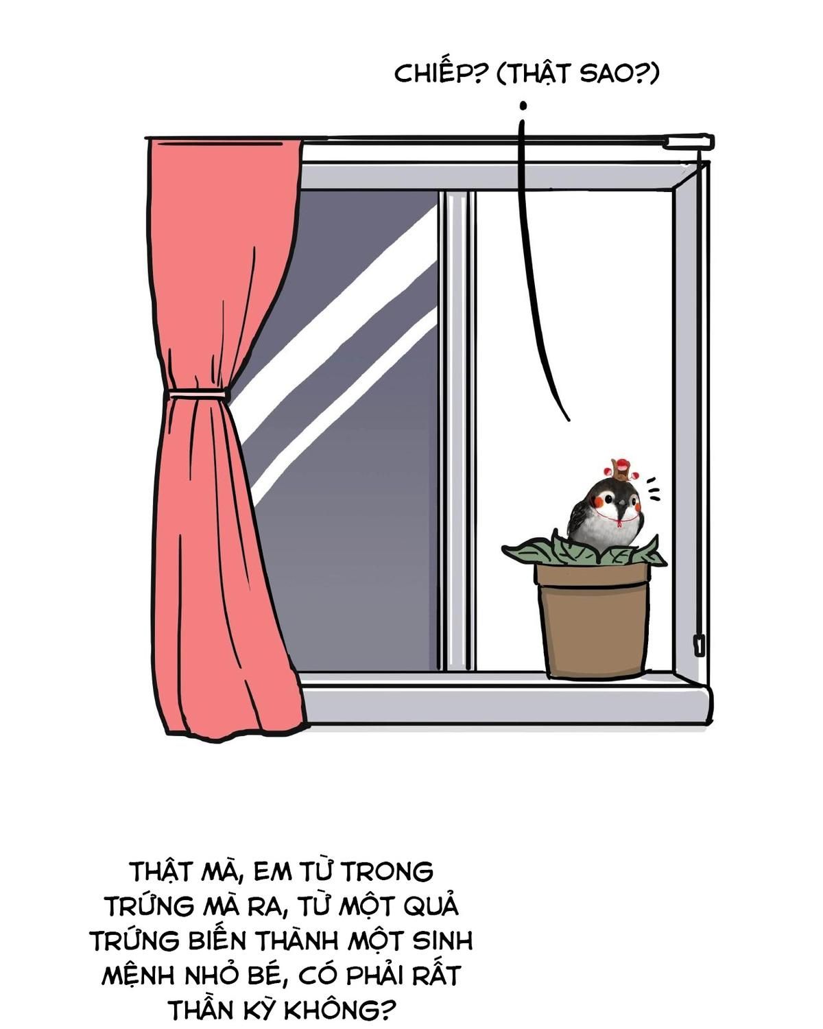 Hoàng Thượng và Ba Trát Hắc: Chapter 157