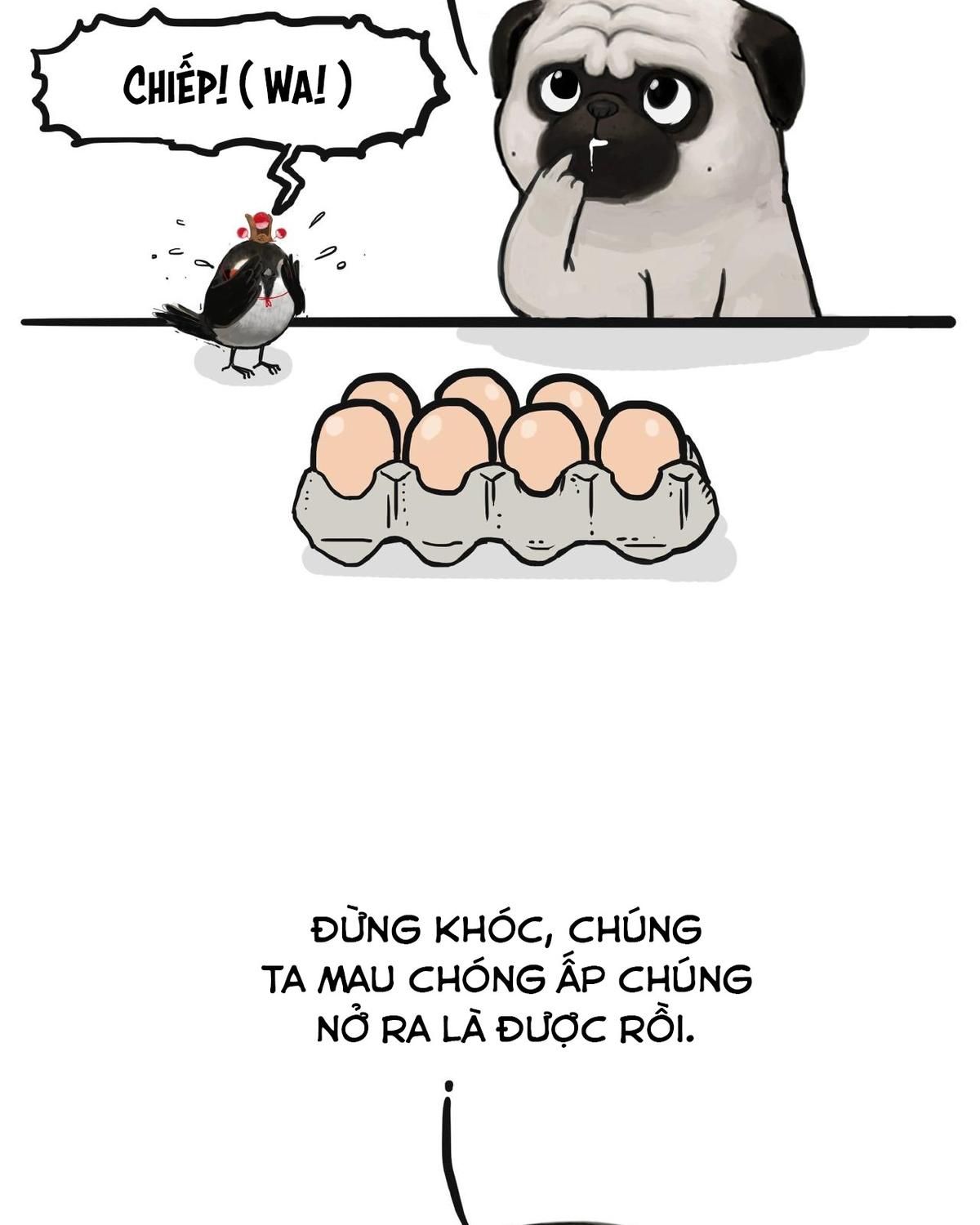 Hoàng Thượng và Ba Trát Hắc: Chapter 157