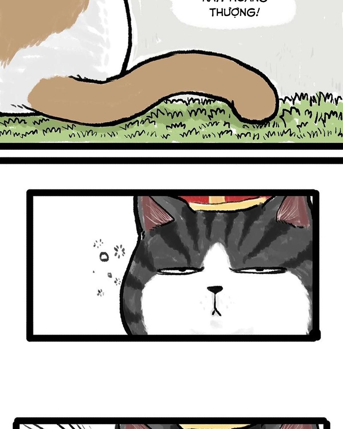 Hoàng Thượng và Ba Trát Hắc: Chapter 158