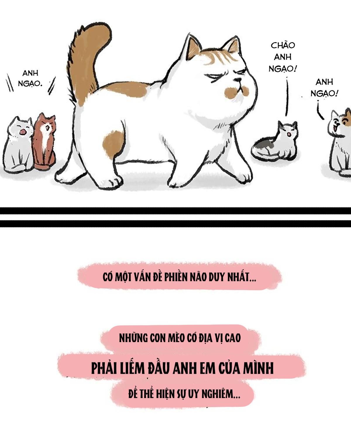 Hoàng Thượng và Ba Trát Hắc: Chapter 158