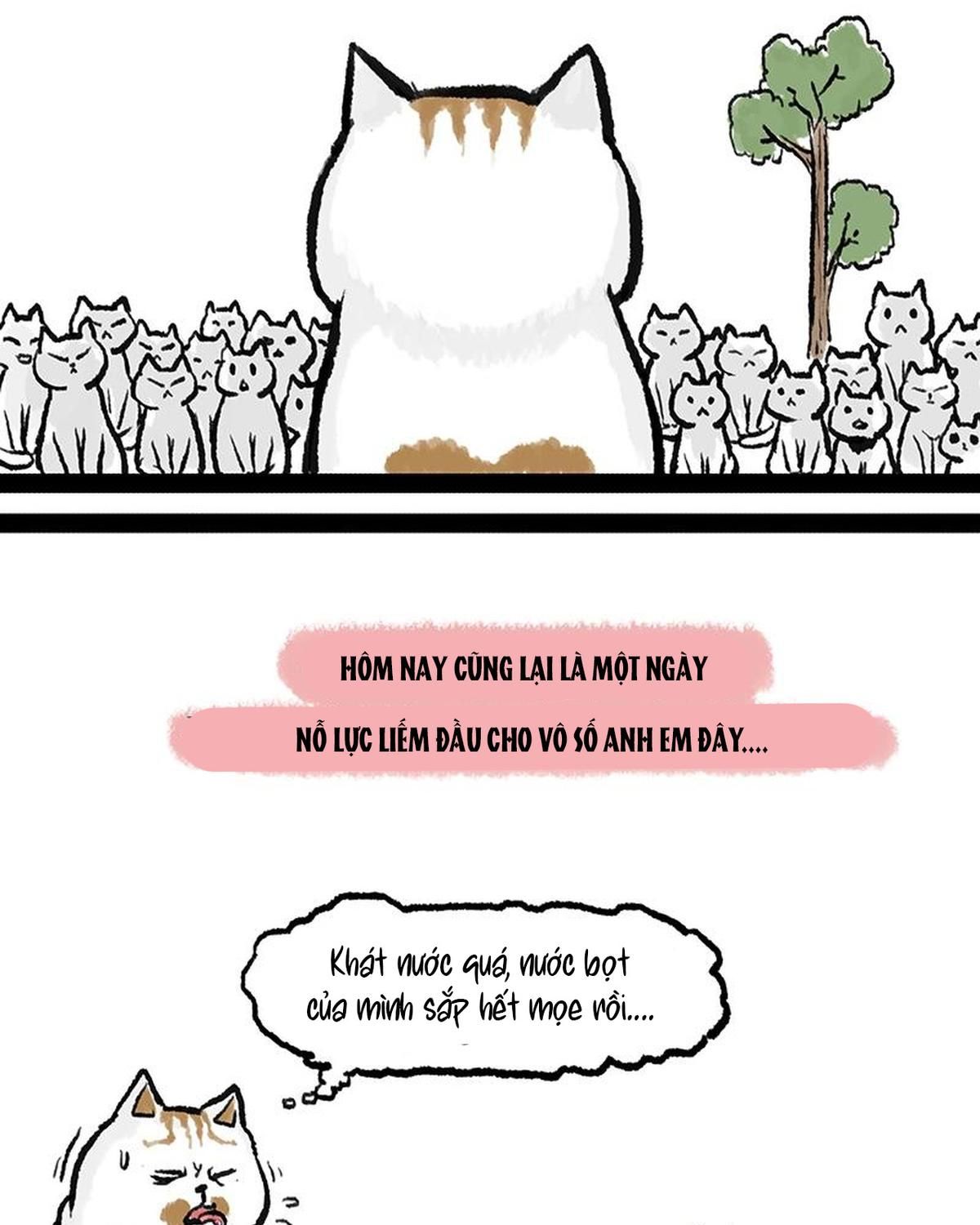 Hoàng Thượng và Ba Trát Hắc: Chapter 158