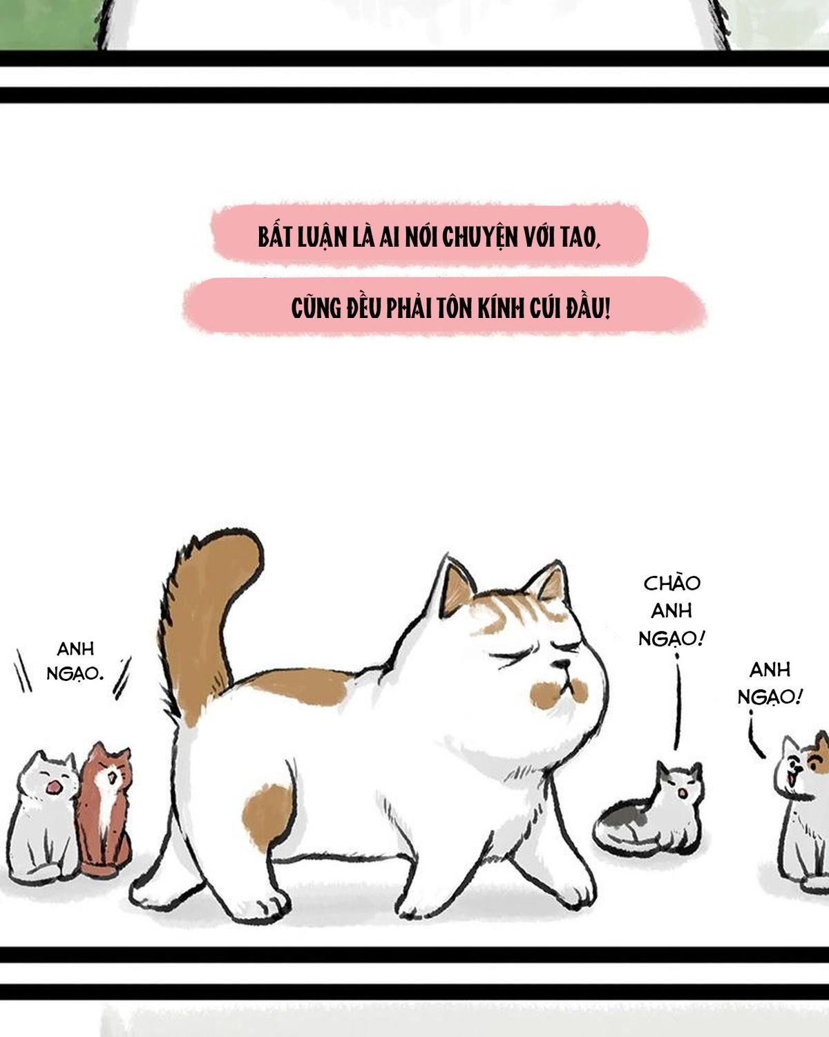 Hoàng Thượng và Ba Trát Hắc: Chapter 158