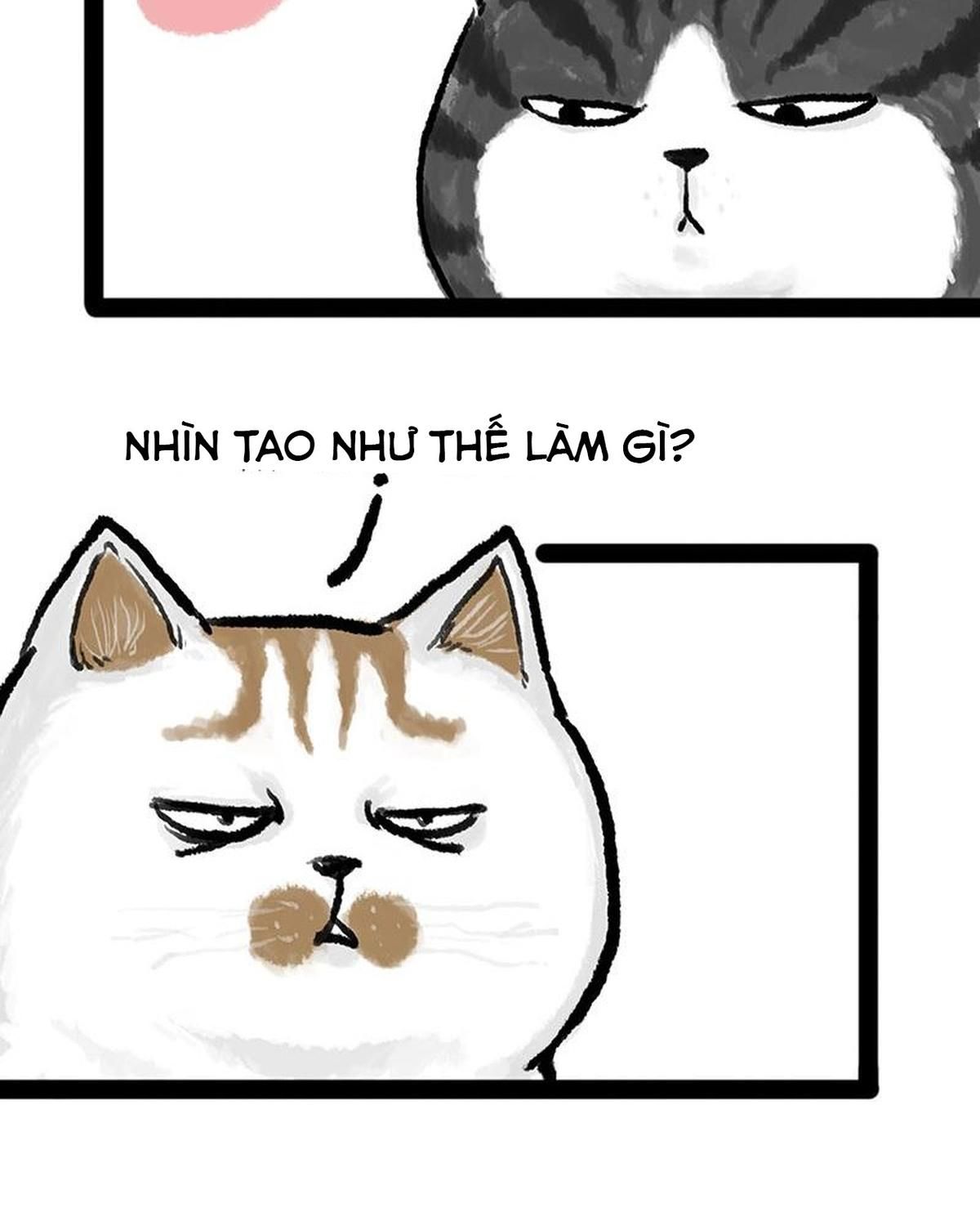 Hoàng Thượng và Ba Trát Hắc: Chapter 158