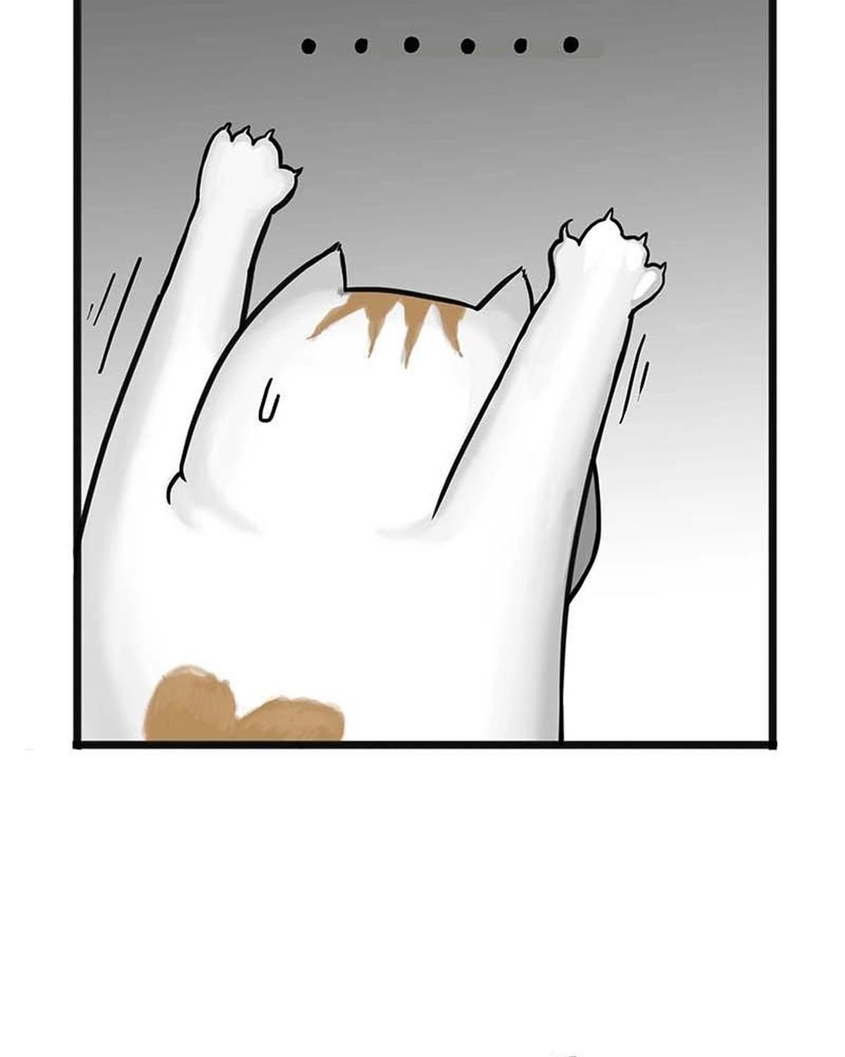 Hoàng Thượng và Ba Trát Hắc: Chapter 159