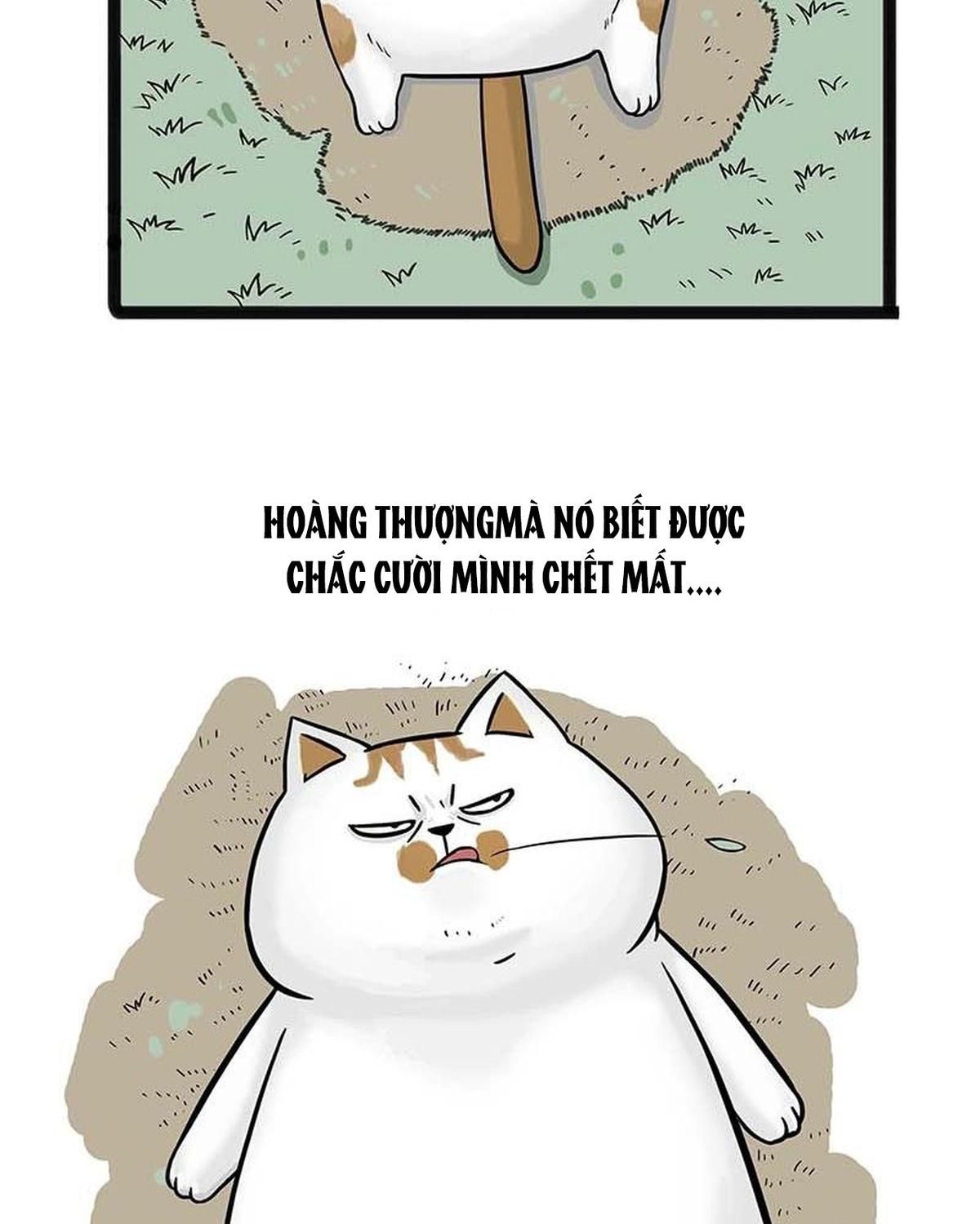 Hoàng Thượng và Ba Trát Hắc: Chapter 159