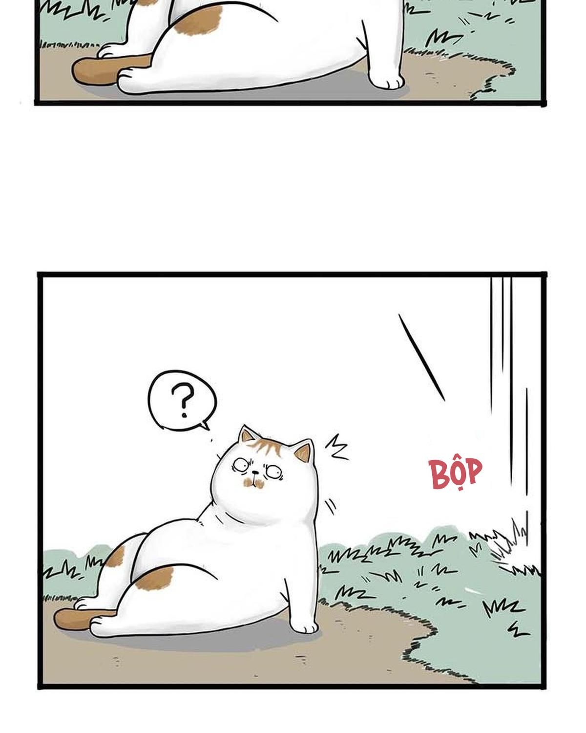 Hoàng Thượng và Ba Trát Hắc: Chapter 159