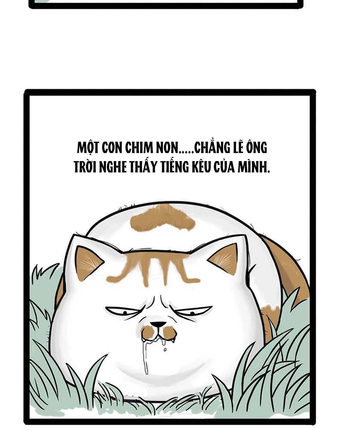 Hoàng Thượng và Ba Trát Hắc: Chapter 159