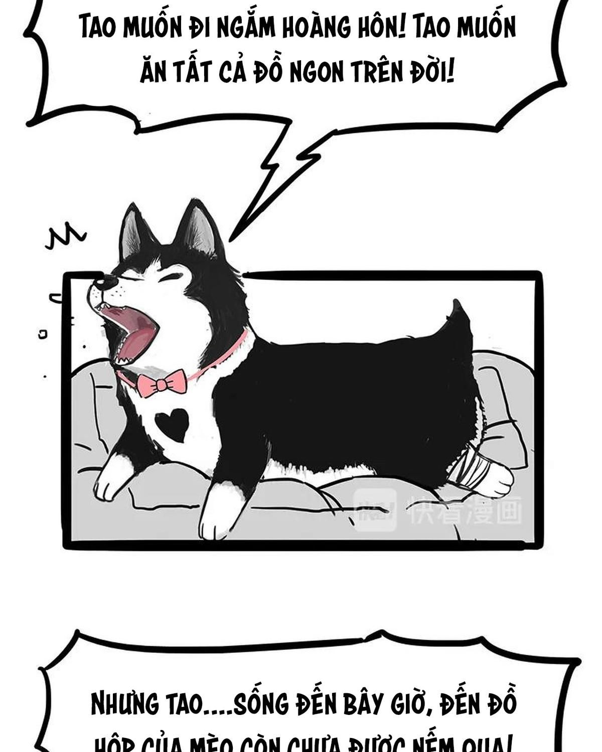 Hoàng Thượng và Ba Trát Hắc: Chapter 160