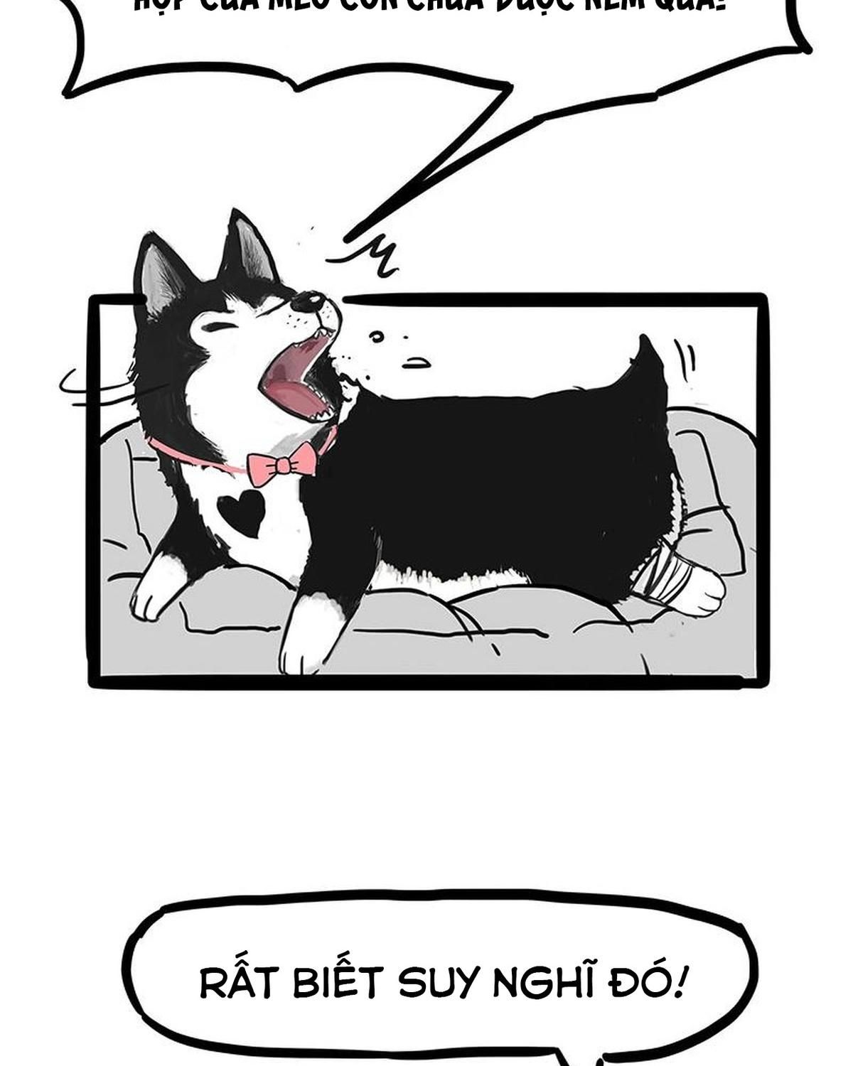 Hoàng Thượng và Ba Trát Hắc: Chapter 160