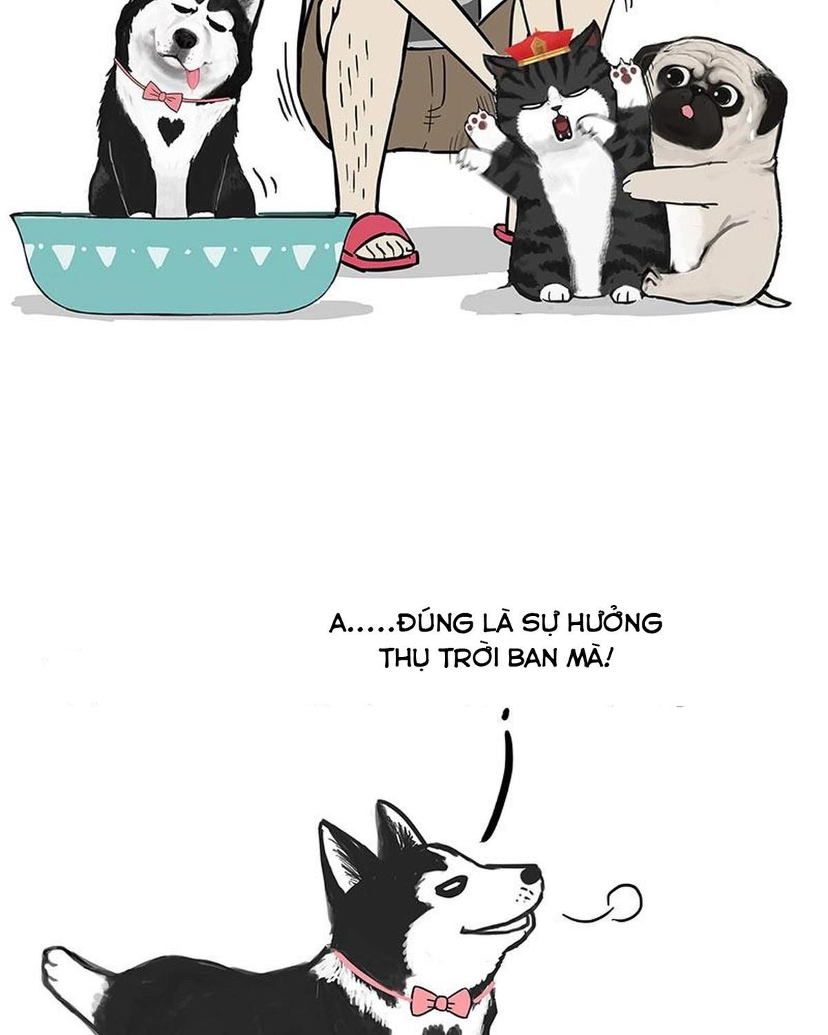 Hoàng Thượng và Ba Trát Hắc: Chapter 160