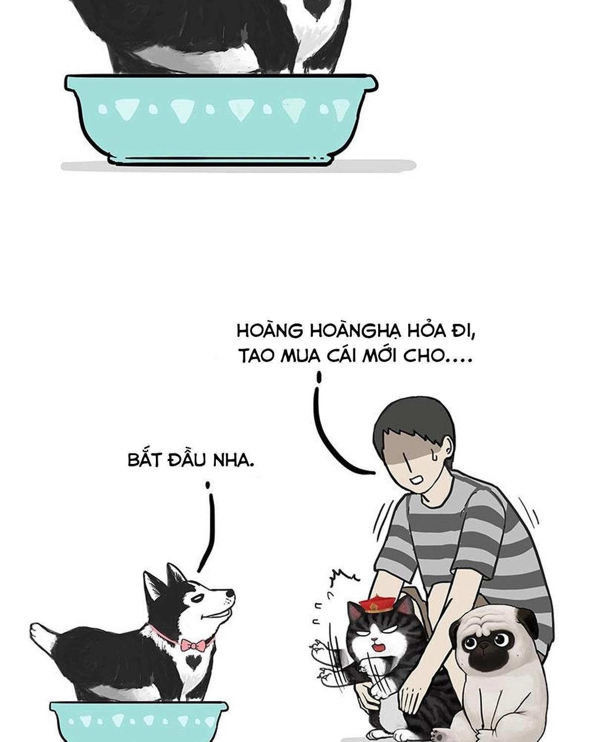 Hoàng Thượng và Ba Trát Hắc: Chapter 160