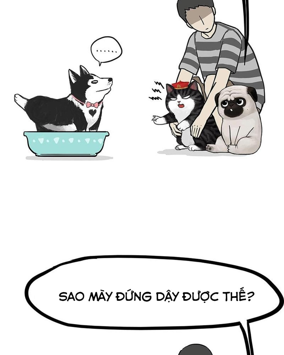 Hoàng Thượng và Ba Trát Hắc: Chapter 160