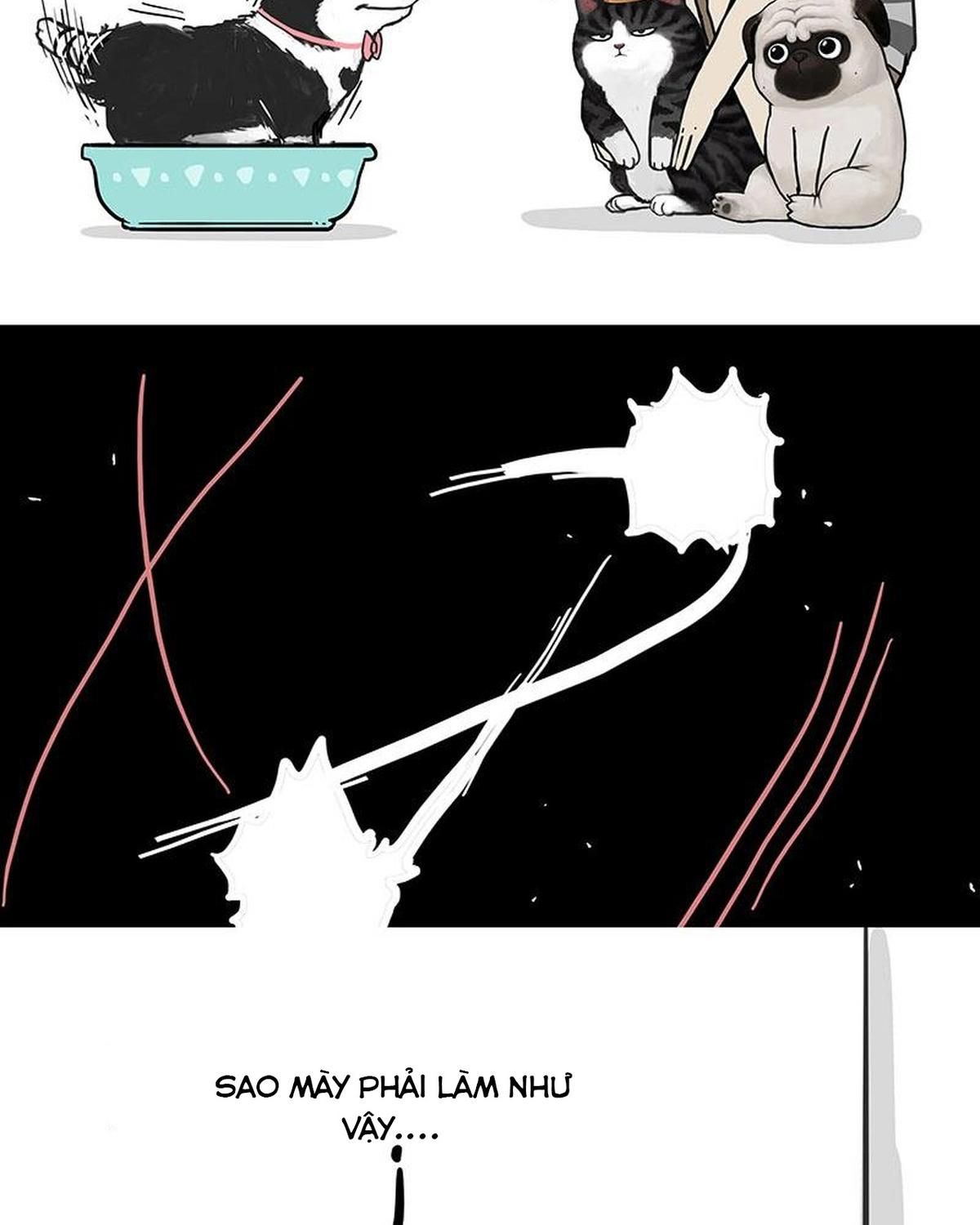 Hoàng Thượng và Ba Trát Hắc: Chapter 160