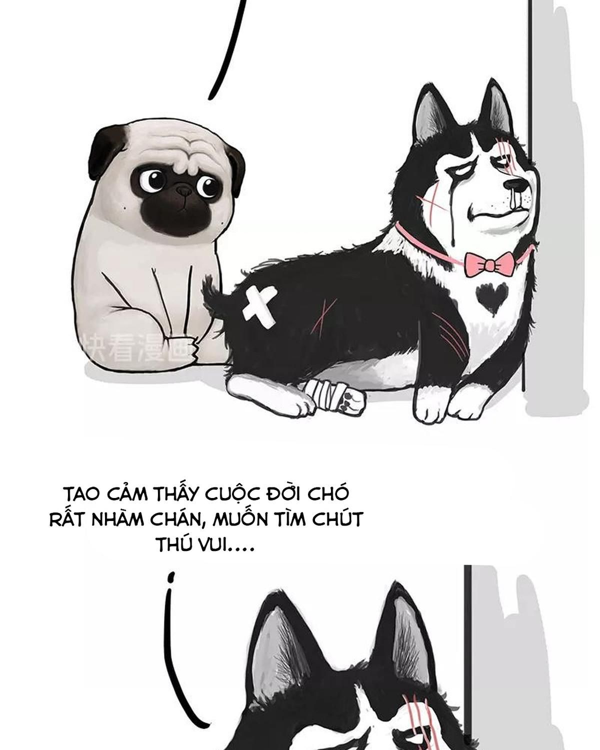 Hoàng Thượng và Ba Trát Hắc: Chapter 160