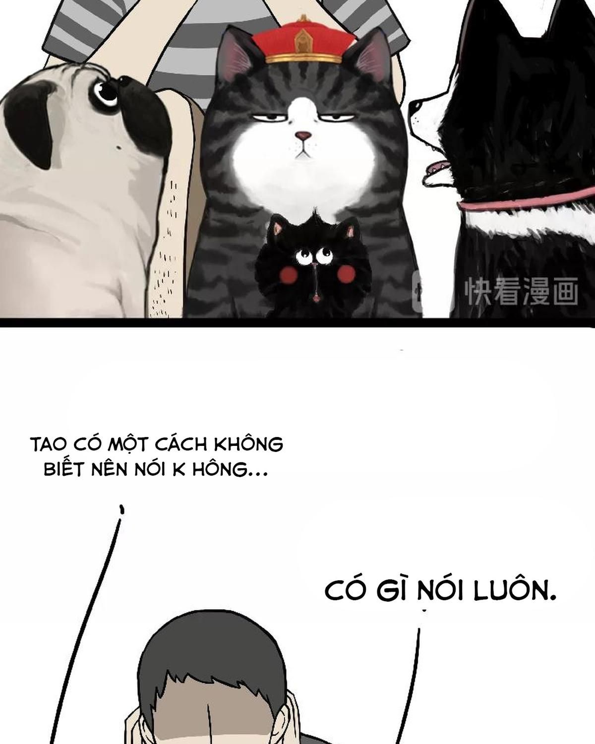 Hoàng Thượng và Ba Trát Hắc: Chapter 163