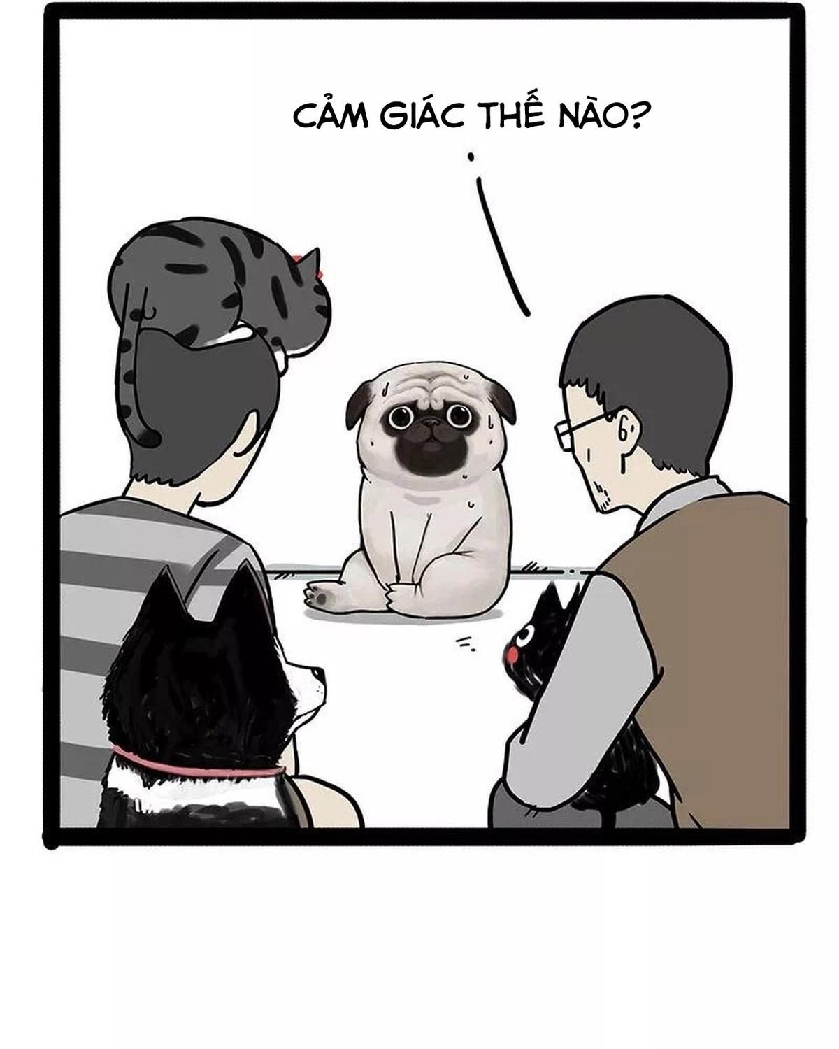 Hoàng Thượng và Ba Trát Hắc: Chapter 169