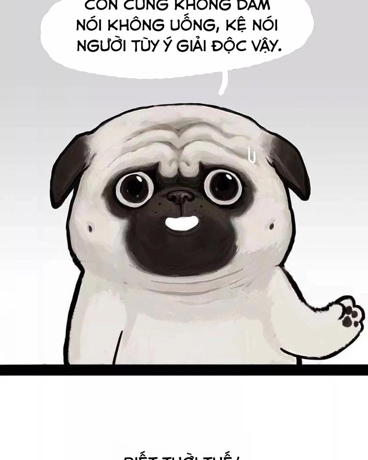 Hoàng Thượng và Ba Trát Hắc: Chapter 169