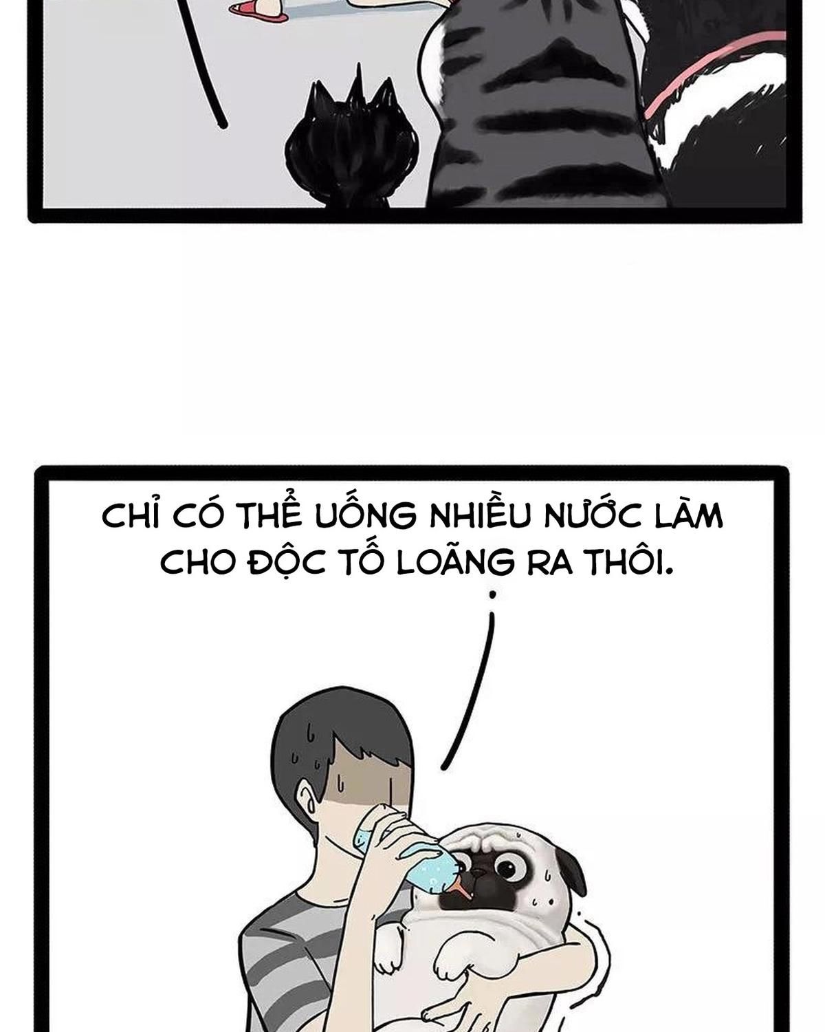 Hoàng Thượng và Ba Trát Hắc: Chapter 169